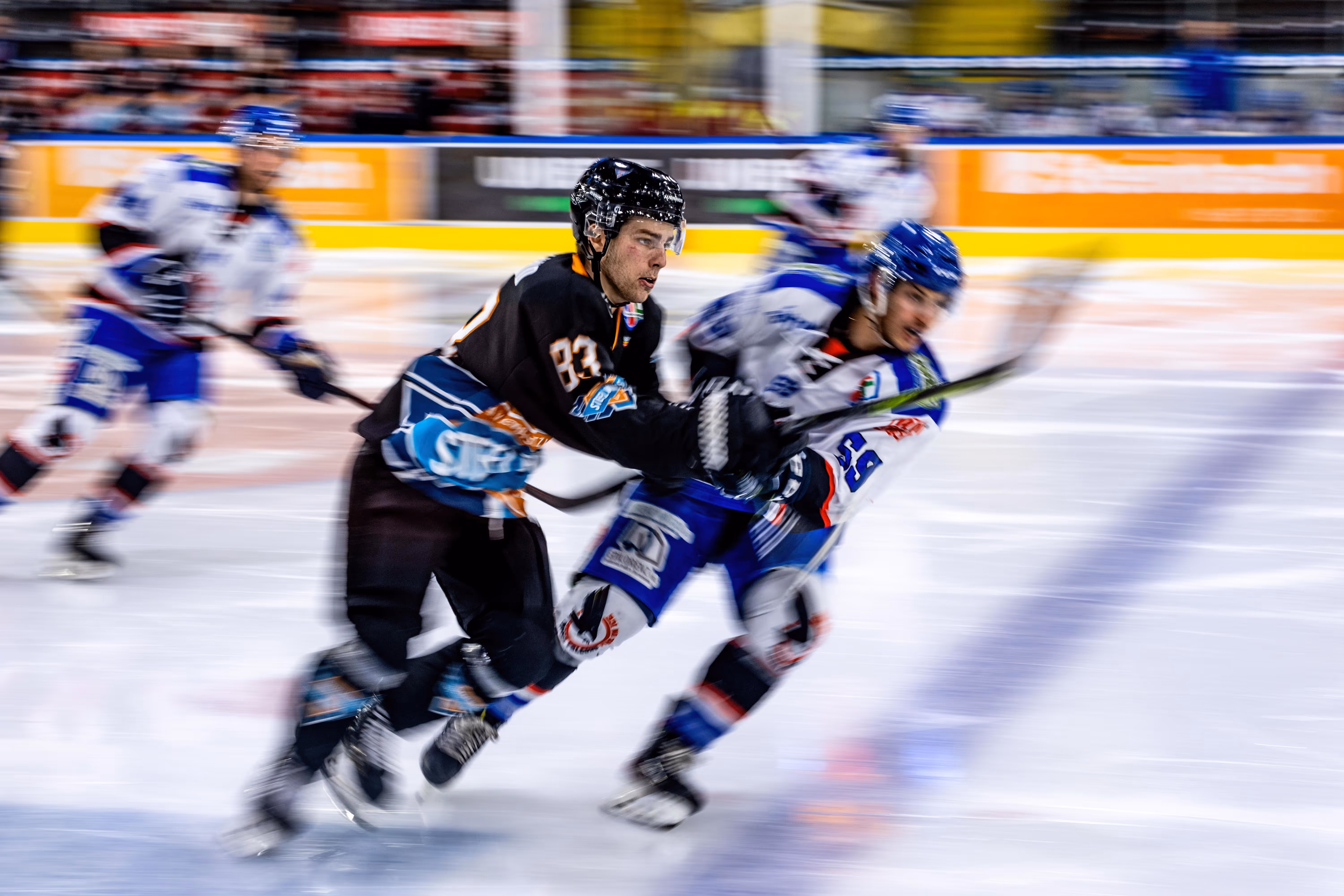 Steinbach Black Wings Linz