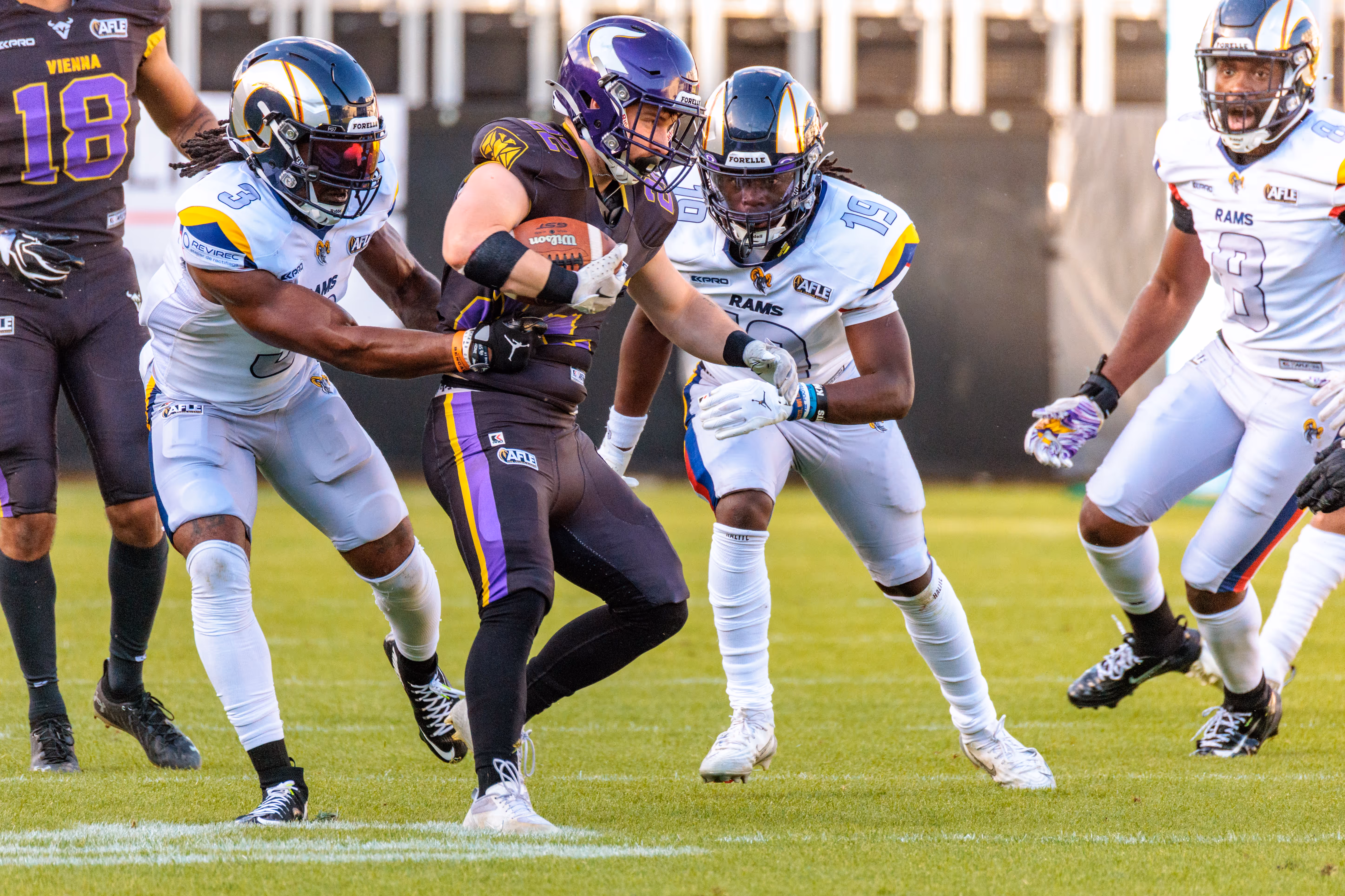 Vienna Vikings